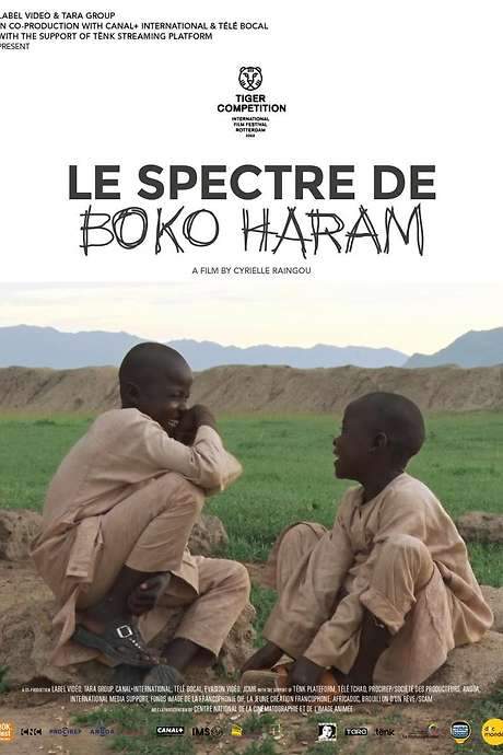The Spectre of Boko Haram